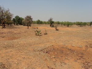 A Parched Land