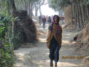 Our road and path to the new village ...