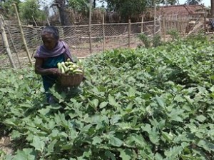Jatapara 6-'16 new farming TCD initiates