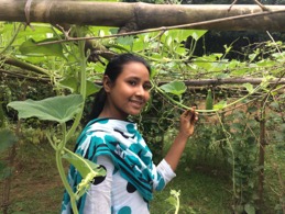 Sujo in her new garden